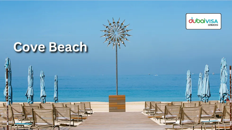 cove beach